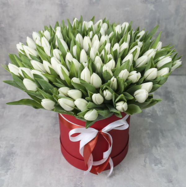 101 White Tulip Box