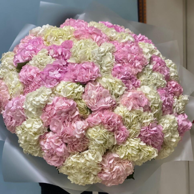 Bouquet of 51 mixed hydrangeas