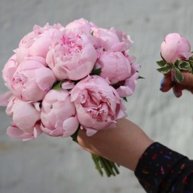 Bride's Bouquet of Pink Peonies