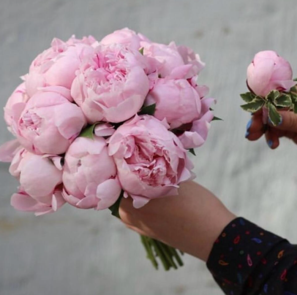 Bride's Bouquet of Pink Peonies