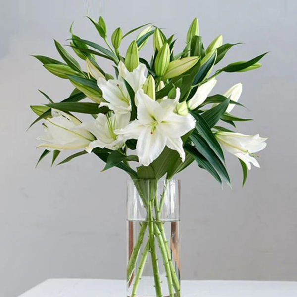 Casablanca Lilies Vase