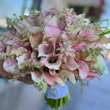 Crystal Calla Lily Astilbe