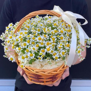 Flowers Basket Of Tanacetum