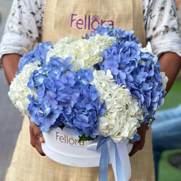 Hydrangea In Velvet Box