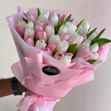 Pink and White Tulip Love