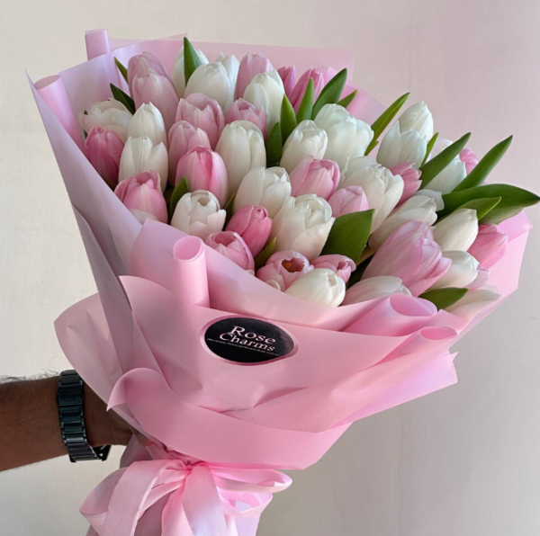 Pink and White Tulip Love