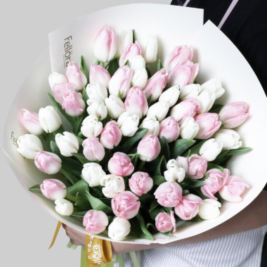 Pink And White Tulips