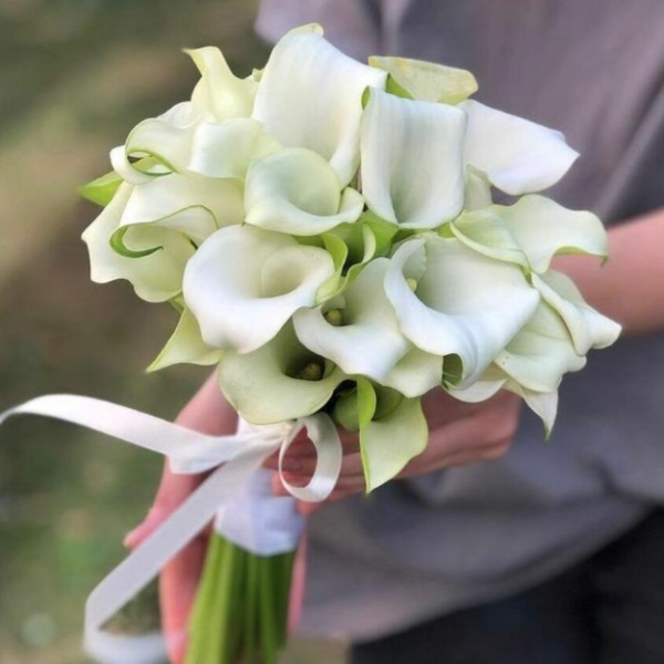 White Bridal Calla